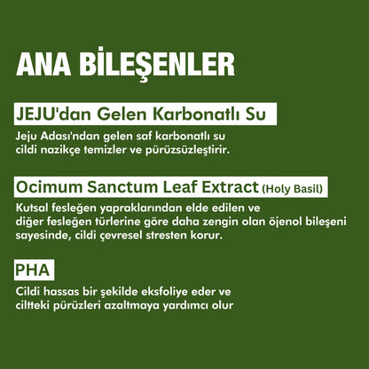 Olyelle™ - Holy Basil Özlü Derin Arındırıcı Köpük Maske